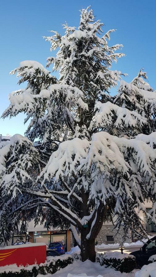 Locanda Ai Dogi Pieve di Cadore Bagian luar foto